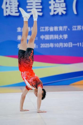 曼巴体育平台
