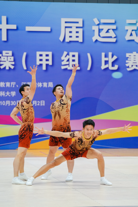 曼巴体育核心通道